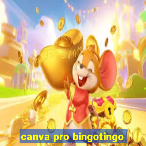 canva pro bingotingo